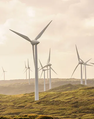Wind farm landscape: group of wind turbines on green hills.