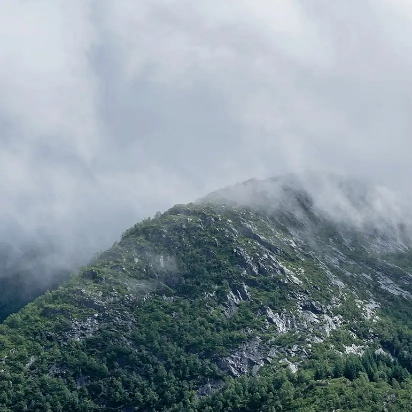 The mountain peak is shrouded in fog.
