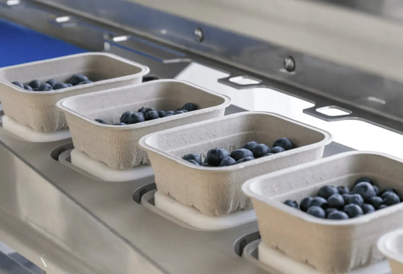 MULTIVAC packaging line